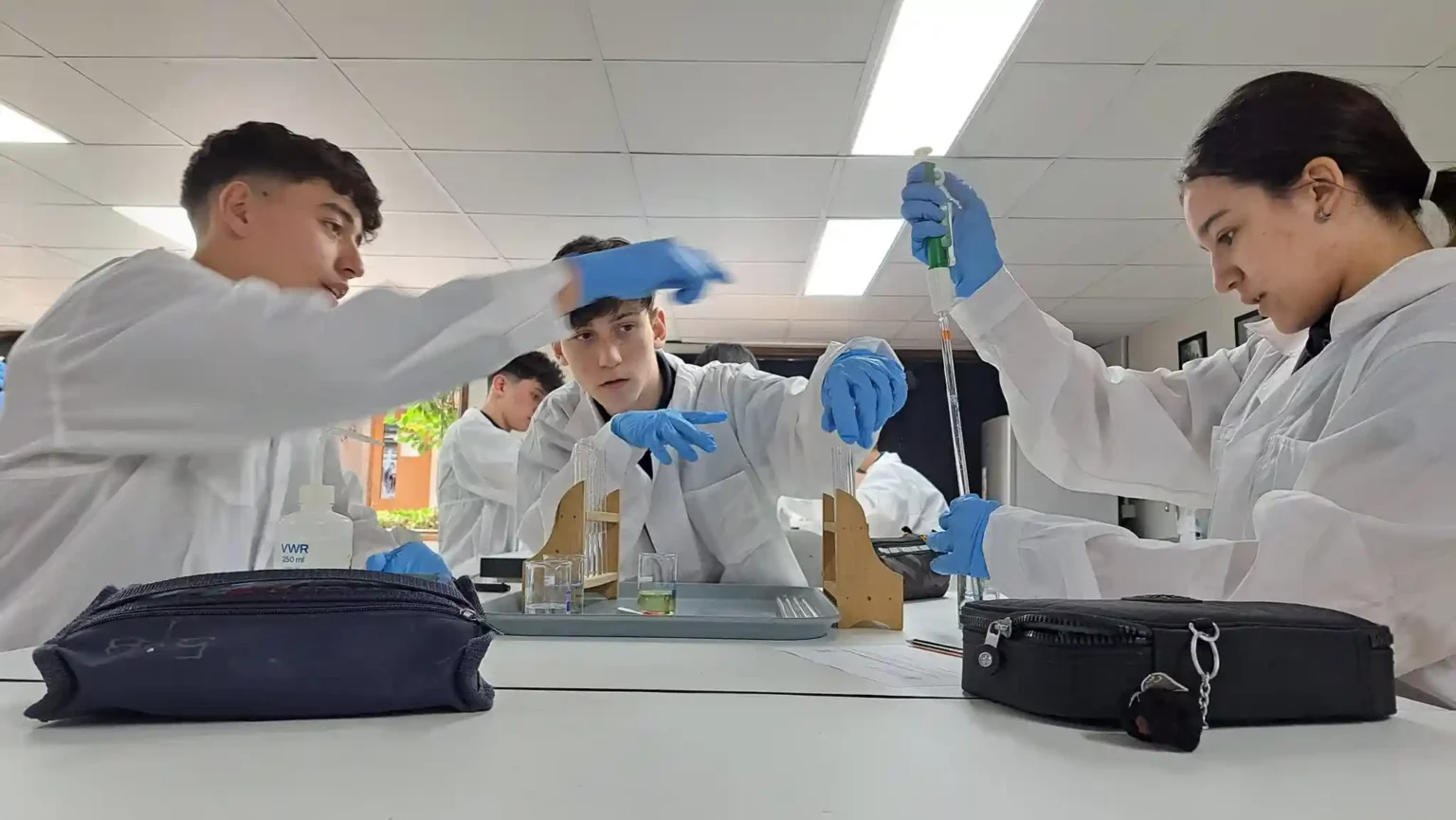 WSS-Escuela Internacional Lincoln 2