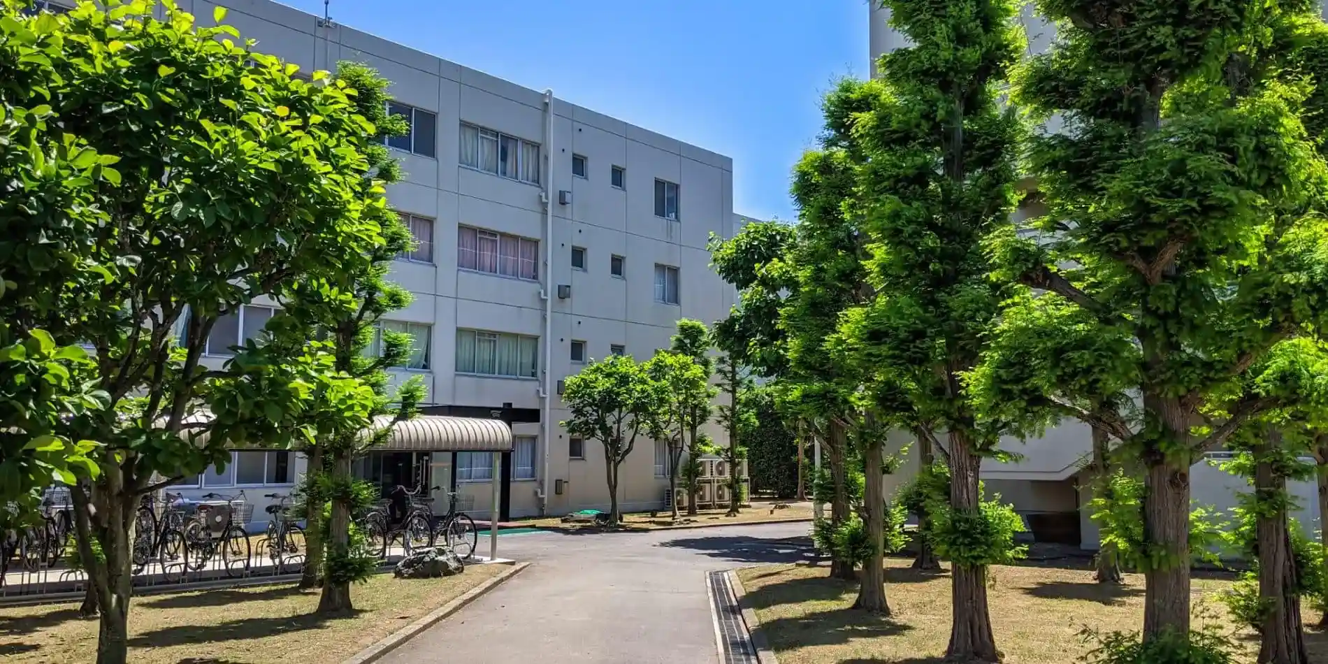 WSGallery Meikei High School omslag