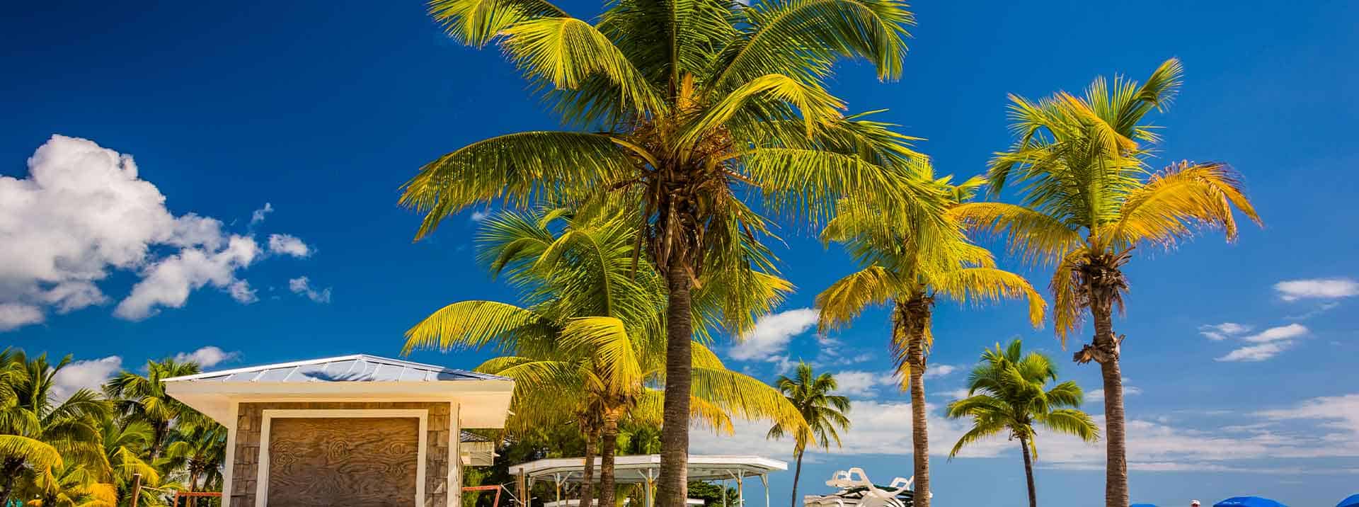 Florida'daki En İyi Yatılı Okullar