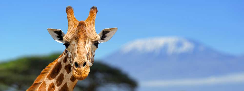 The Best Boarding Schools in Kenya