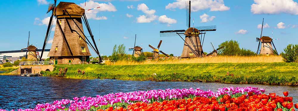 As melhores escolas internacionais na Holanda