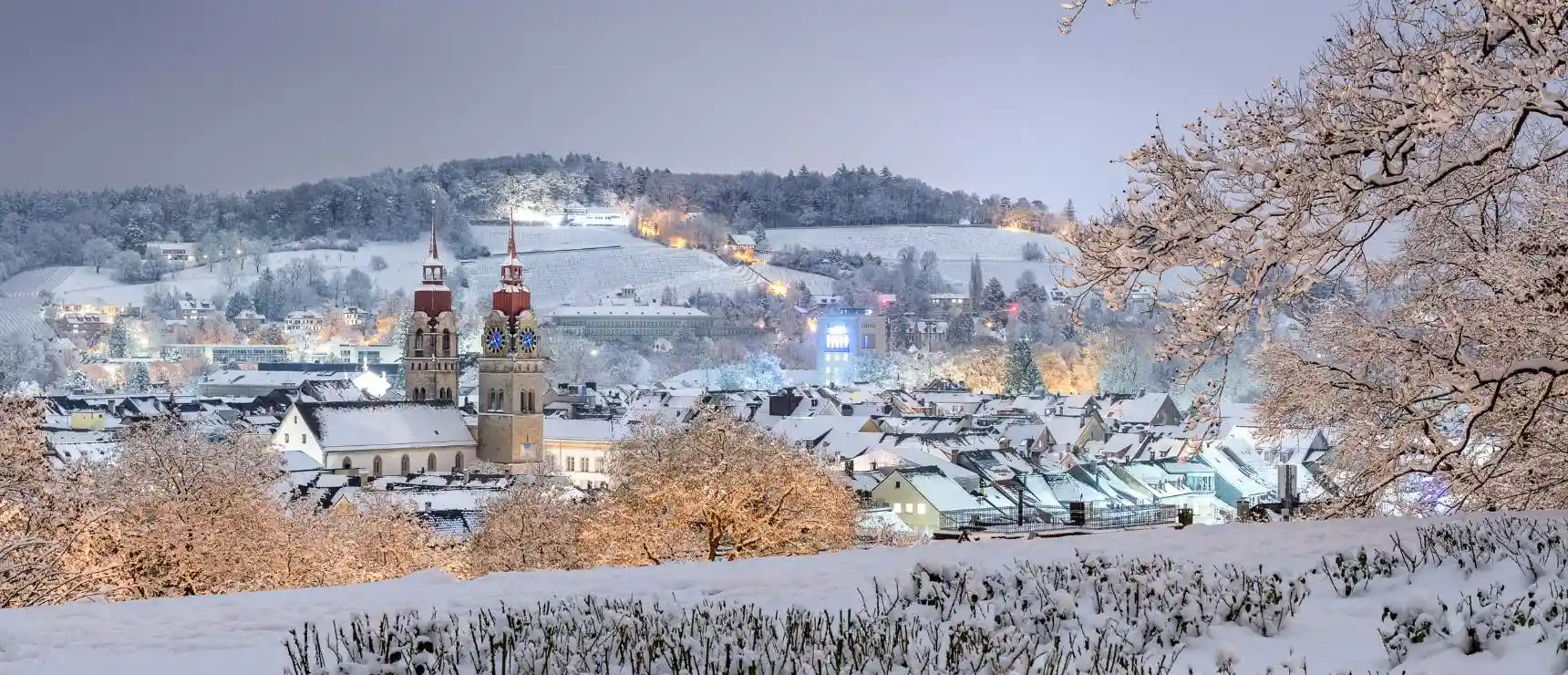 Melhores escolas internacionais em Winterthur