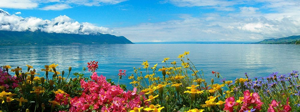 Montreux'deki En İyi Uluslararası Okullar