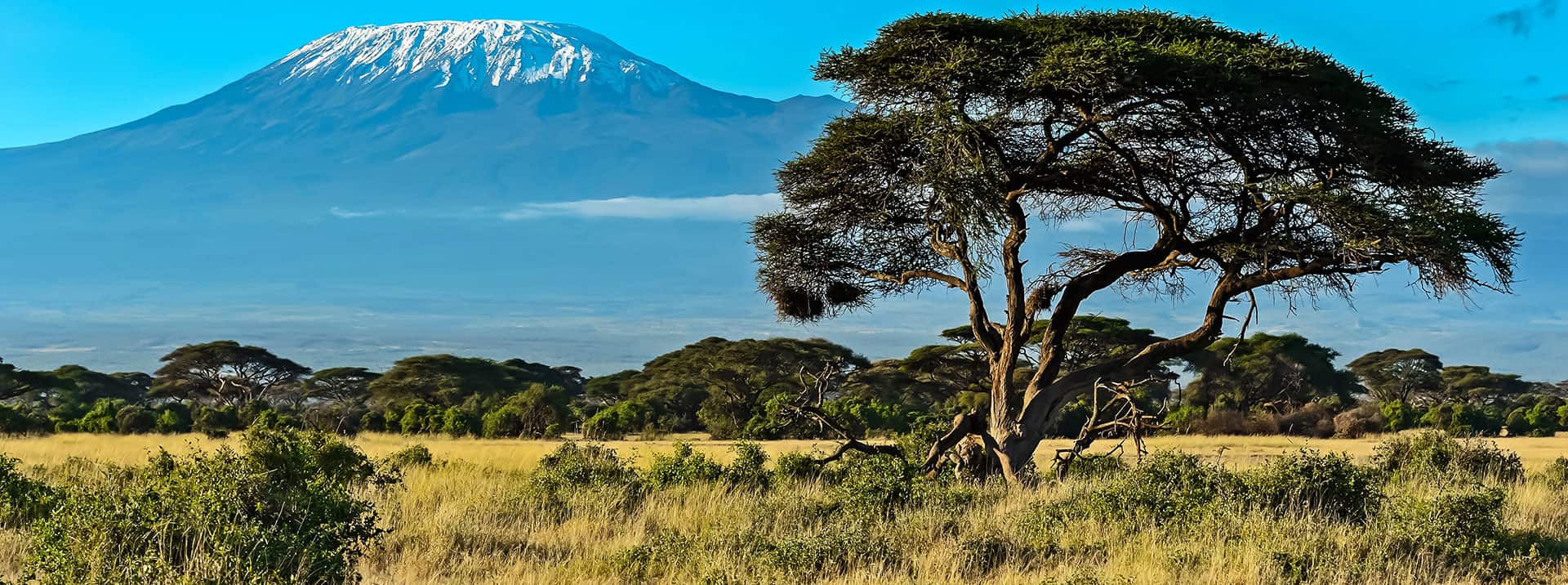 Les meilleurs internats d'Afrique