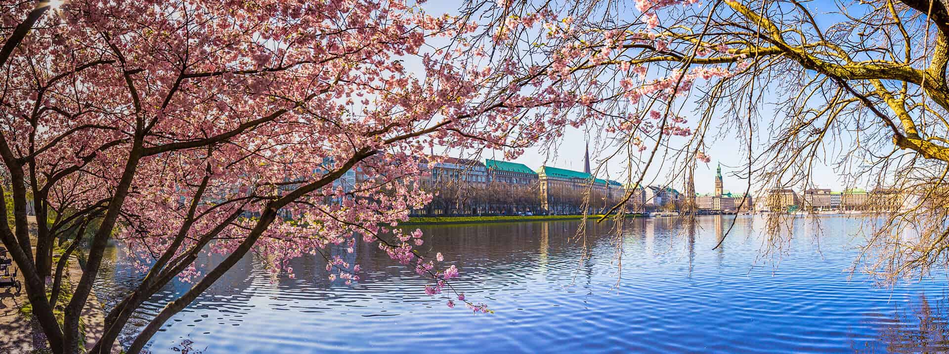 Hamburg'daki En İyi Yatılı Okullar