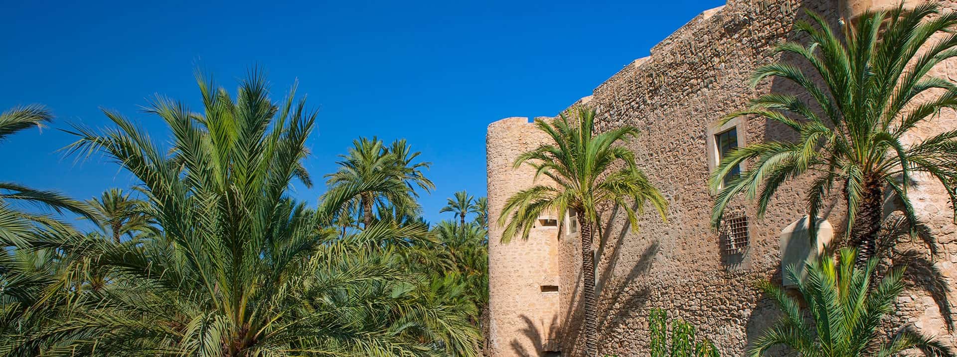 De beste internationale scholen in Elche