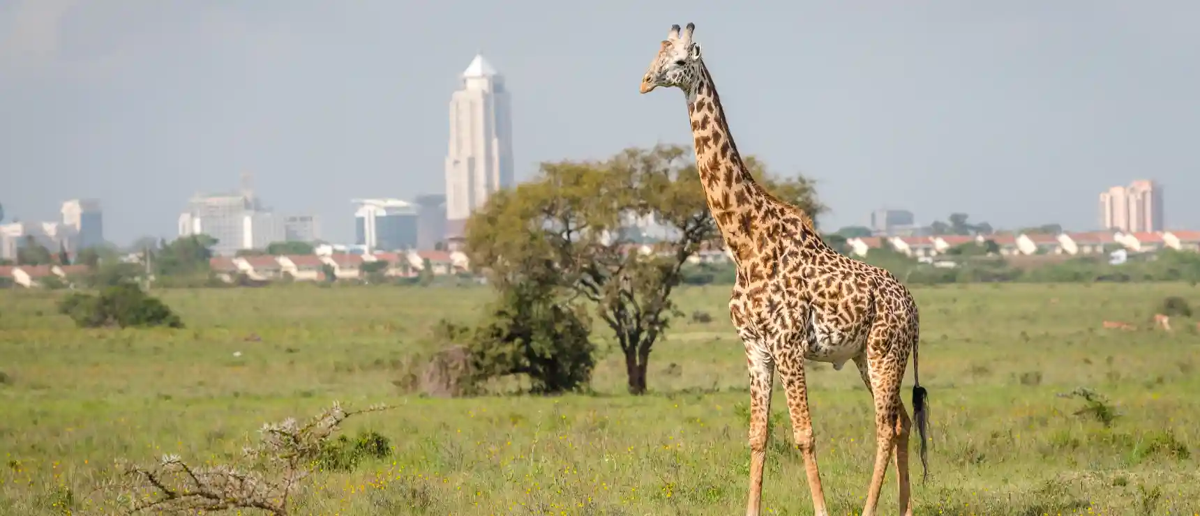 Nairobi'deki En İyi Yatılı Okullar