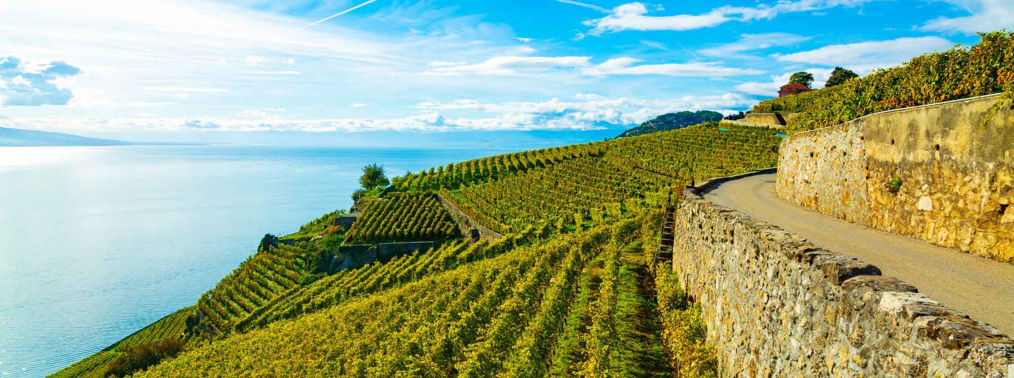 Vaud'daki En İyi Yatılı Okullar