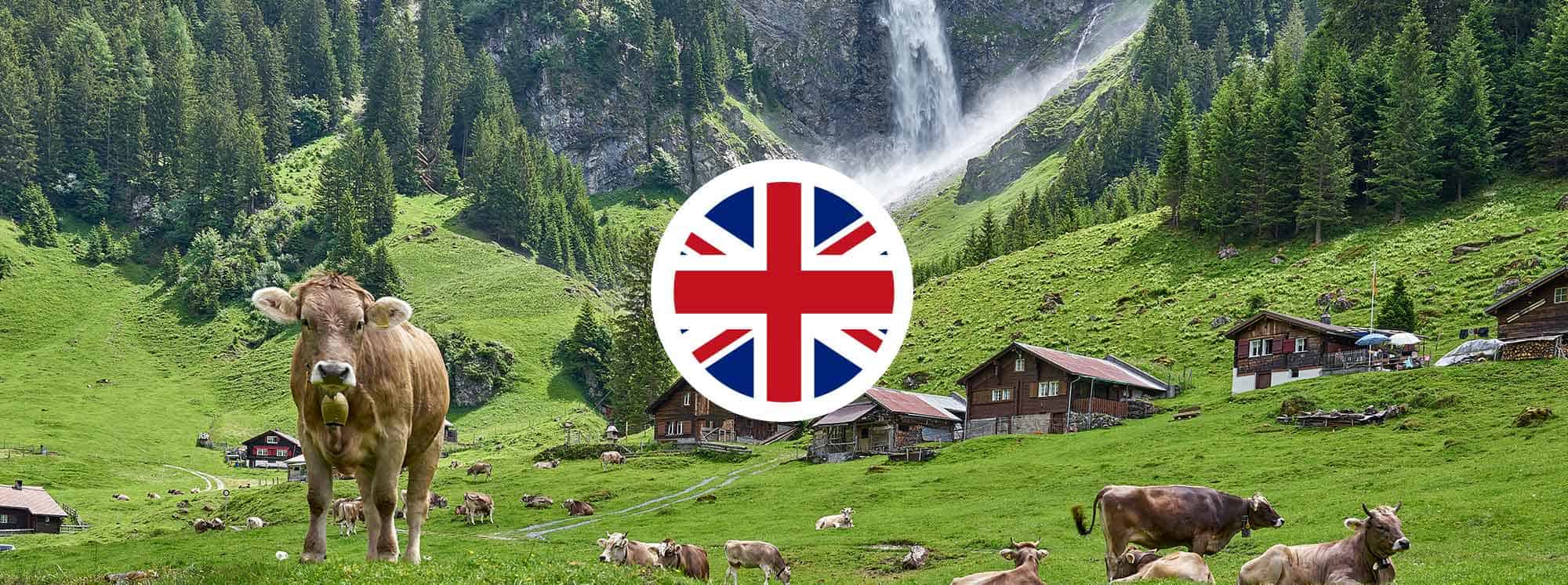 Los mejores colegios británicos en Altdorf