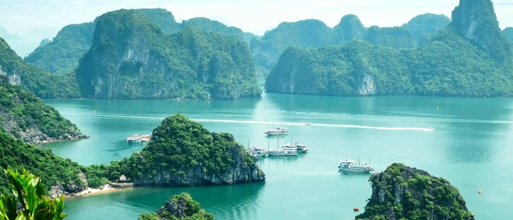 Vietnam'daki En İyi İngiliz Okulları