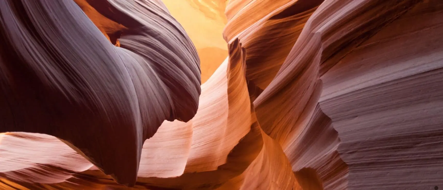 Arizona'daki En İyi Çevrimiçi Okullar