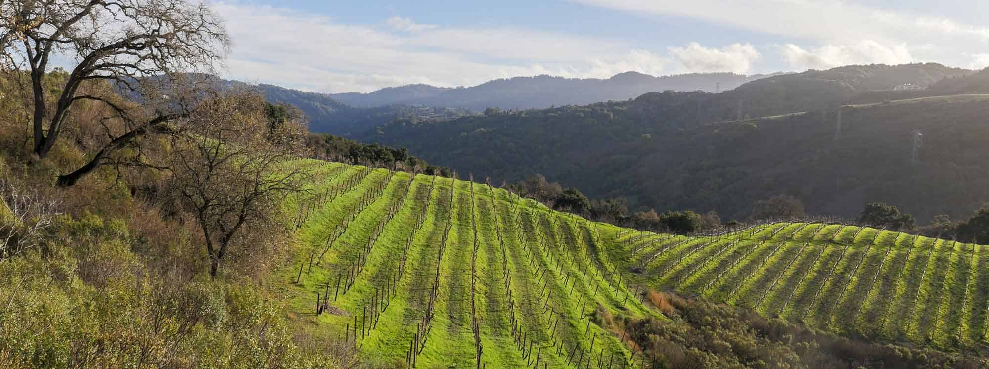 Beste internationale scholen in Portola Valley