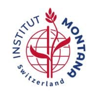 WSLogo Institut Montana Switzerland 2025