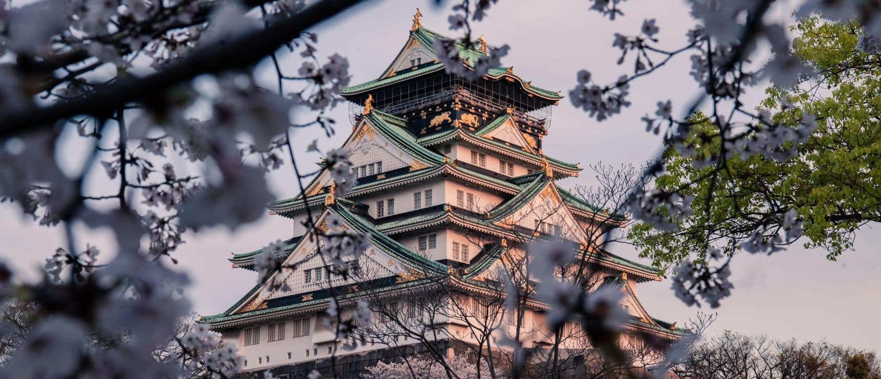best schools osaka