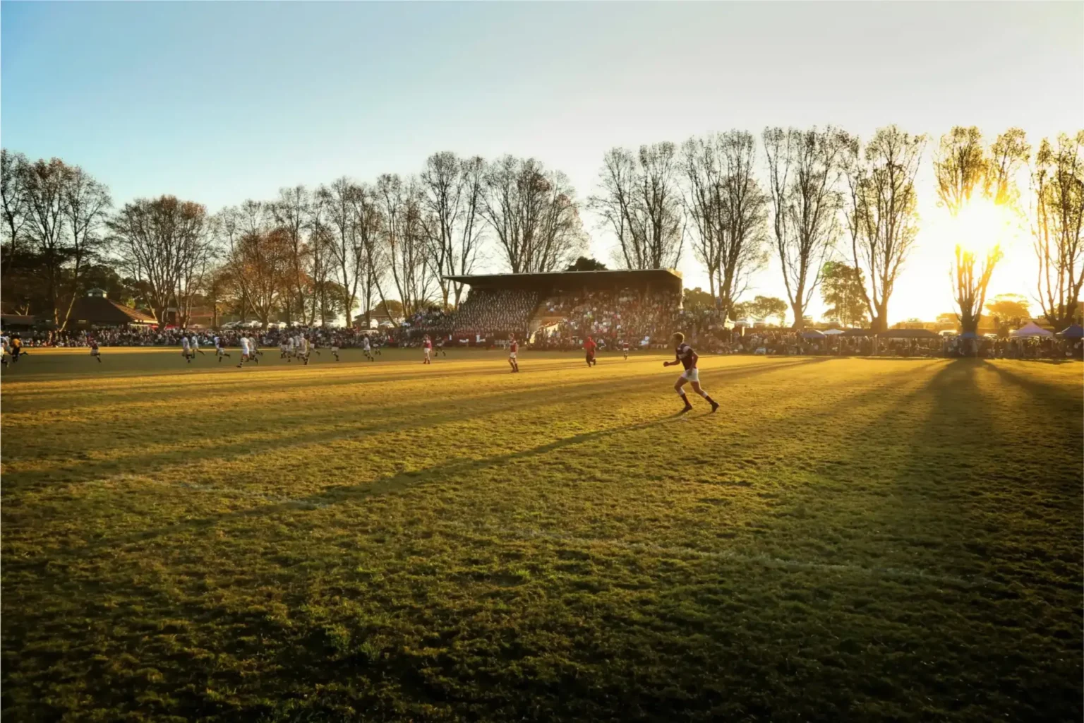 WSGallery-Kearsney College-Panoramica-1